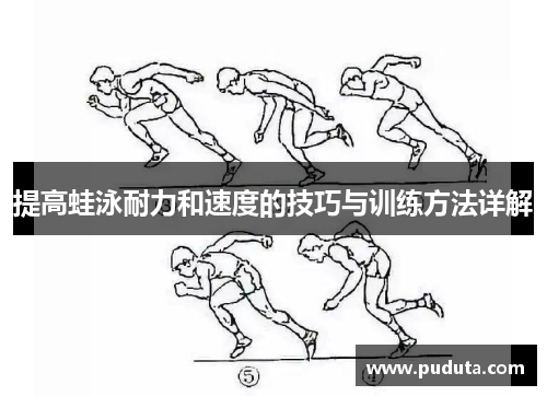 提高蛙泳耐力和速度的技巧与训练方法详解