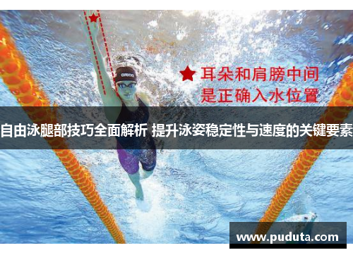 自由泳腿部技巧全面解析 提升泳姿稳定性与速度的关键要素