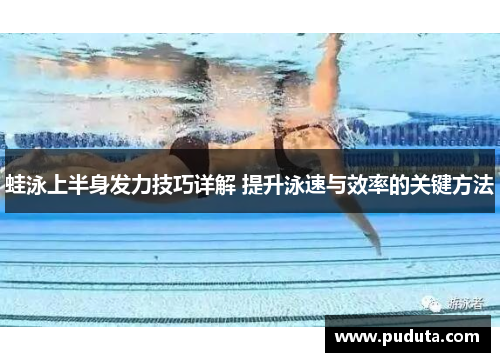 蛙泳上半身发力技巧详解 提升泳速与效率的关键方法