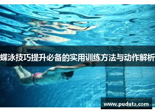蝶泳技巧提升必备的实用训练方法与动作解析